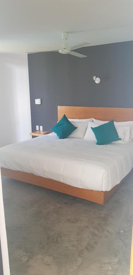 Casa Kabia Apartment Rio Verde Bagian luar foto